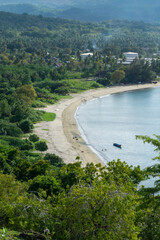 aerial view of beautiful beach with trees foreground