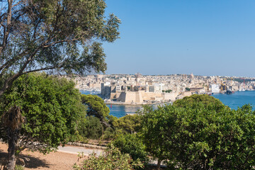 Fototapeta na wymiar Malta, Valletta, August 2019. Fort St. Angelo between the trees of the park.