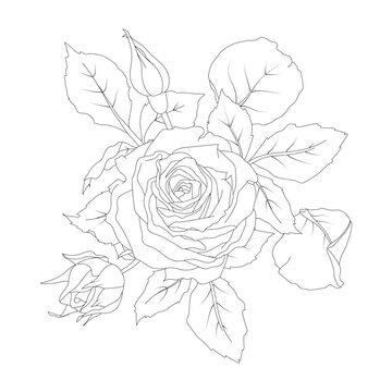 Composition of roses, buds, leaves and petals vector illustration in line art style. Hand drawn silhouette flowers. For the design of stickers, stationery, greeting cards, tattoos, coloring