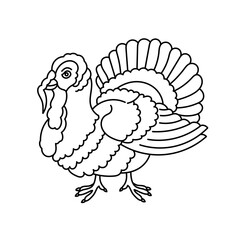 Turkey bird. Poultry farm. Vector line. Editable outline stroke.