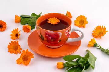 Calendula ,Marigold herbal tea with fresh plant and flowers on a white background. Extract of tincture of calendula in the cup. Medicinal plants.