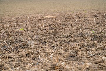 topsoil on an agricultural field background