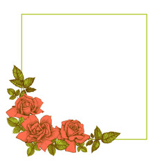 Vector bouquet of a rose flower angular composition square frame isolated on a white background. A handmade sketch in the style of a vintage engraving. An element for the design of wedding invitations