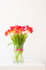 Red tulips. Beautiful flowers in a vase on soft light background.
