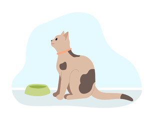 Spotted cat sits indoor in front of bowl. Hungry pet waiting to be fed. Vector illustration.