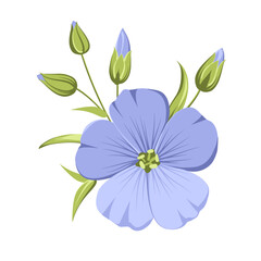 Vector illustration linen flowers. Isolated white background. Individual elements drawn flax.