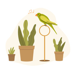 Parrot sits on perch ring among the houseplants. Pet exotic bird sings a song. Vector illustration.