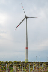 Wind turbine with vine plants in front during cloudy day, view from low angle
