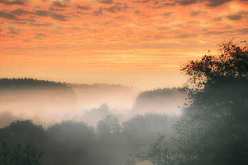 Sunrise over a misty forest. Dawn in fairy forest with dramatic glowing sky