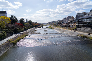 京都府　鴨川風景