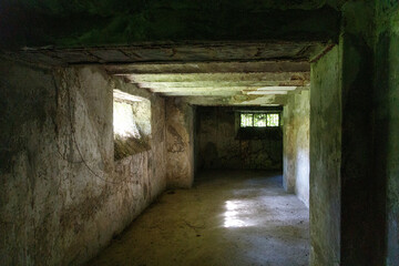 Old abandoned basement