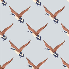 Canada geese. Color vintage style flying birds. Seamless pattern. Hand-drawn graphic design. Vector illustration on color background.
