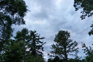 京都府　天橋立