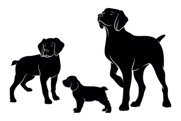 American Brittany breed dog. Vector silhouette of the dog. Vector illustration on a white background.