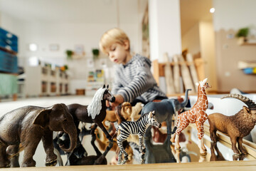Selective focus on animals with a little boy playing with them in a blurry background at montessori...
