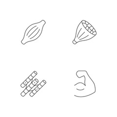 Set line icons of muscle