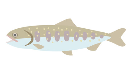 イワナのフラットなベクターイラスト