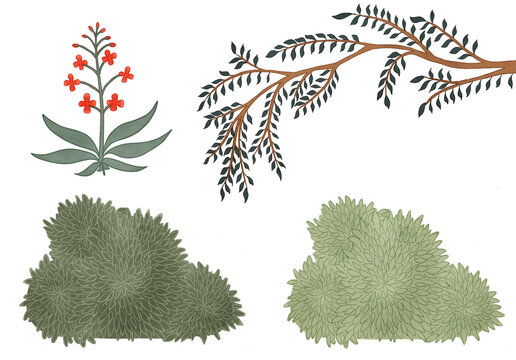 A set of natural elements which includes bushes, a branch and a red flowered plant.