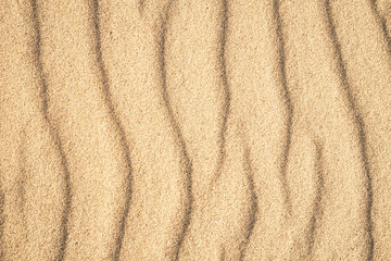 Fototapeta na wymiar banner of closeup of sand pattern of a beach in the summer. Vacation and sea travel background