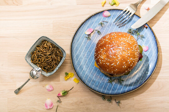 A mealworm burger � a bun with a veggie patty and worms
