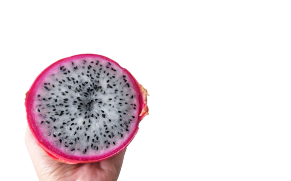 Graphic illustration with dragon fruit