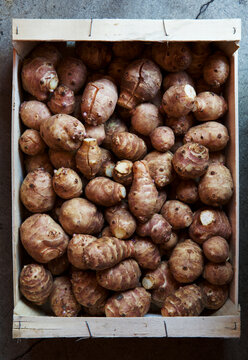 Jerusalem artichoke in wooden box