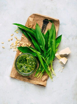 Wild garlic pesto