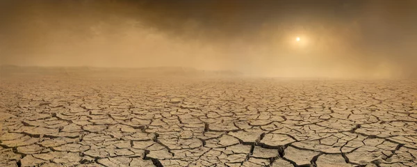 Fototapeten Wide panorama of barren cracked land with sun barely visible through the dust storm. Drought and desertification concept © ChaoticDesignStudio