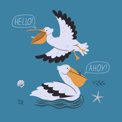 Sea card with cute pelicans.Vector graphics.