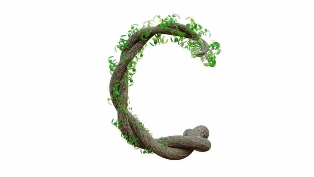 Tree grow or vine in the shape of the English text. Letter font C. Alpha Channel, cg animation, 3D Render.