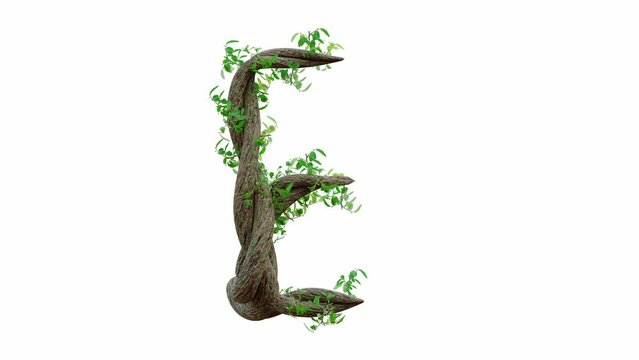 Tree grow or vine in the shape of the English text. Letter font E. Alpha Channel, cg animation, 3D Render.