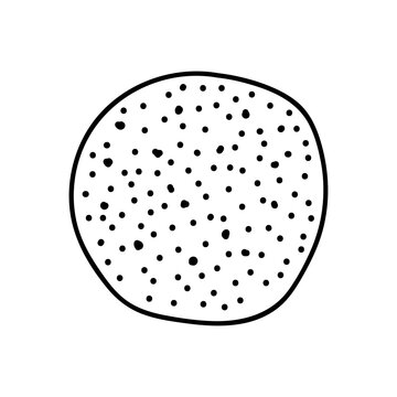 recommend clip art: hand drawn round circles line art isolated on white background