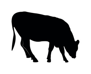 Vector cow silhouette isolated on white background