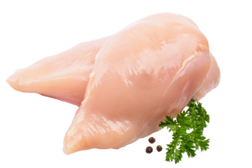 Raw chicken meat isolated