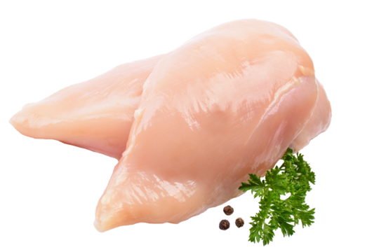 Raw chicken meat isolated