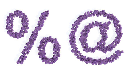 Concept or conceptual set of beautiful blooming lupine bouquets forming the % and at signs. 3d illustration metaphor for education, design and decoration, romance and love, nature, spring or summer.