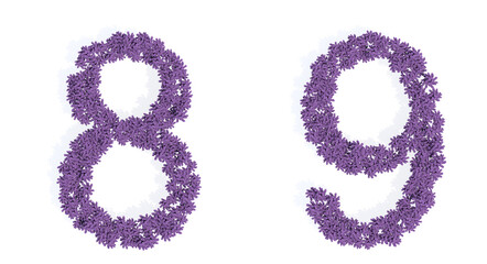 Concept or conceptual set of beautiful blooming lupine bouquets forming the fonts  8 and 9. 3d illustration metaphor for education, design and decoration, romance and love, nature, spring or summer.