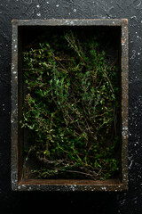 Spices and herbs. Fragrant green thyme. On a black background.