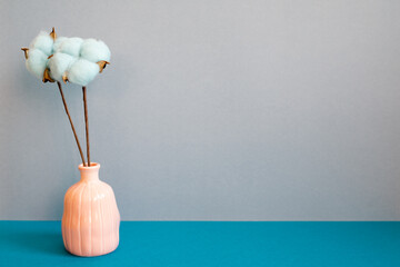 Vase of blue cotton flower on blue table