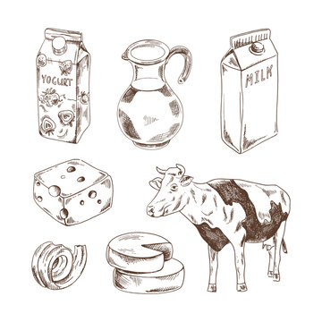 Hand-drawn Dairy products sketch set. Cheese, butter, yogurt, milk, jug, cow. Vector illustration. Black and white vintage drawing.