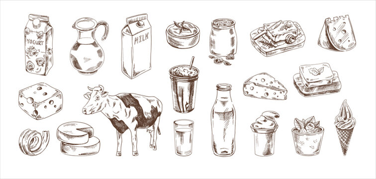 Hand Drawn Milk Products Protein Snack Sketch Vector, Protein, Snack, Sketch  PNG and Vector with Transparent Background for Free Download
