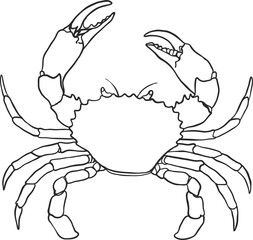 Crab png by hand drawing.crab silhouette on white background.