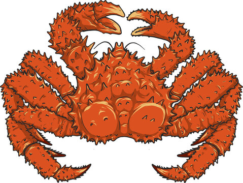 Crab png by hand drawing.crab silhouette on white background.