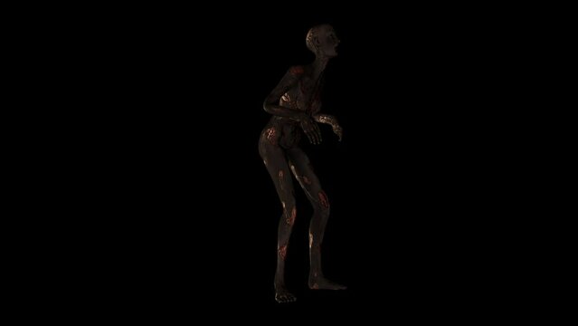 Burned Zombie 3D Animation With Alpha Video