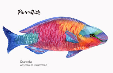 Watercolor cute Parrotfish. Hand painting postcard with Parrotfish isolated white background. Ocean animals.
