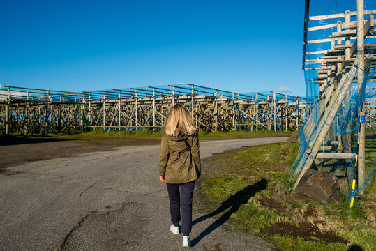 A woman walks among empty wooden fish dryers in Northern Norway. Explore Northern Norway. Summer in Scandinavia