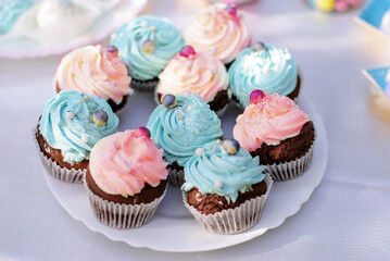 Blue and pink  cupcakes for gender party.
