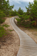 Wooden path on the beach surrounded by pine trees and going over sand dunes