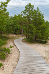 Fototapeta na wymiar Wooden path on the beach surrounded by pine trees and going over sand dunes