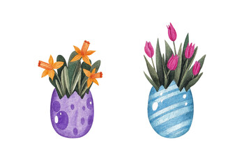 Flower arrangements with tulips and daffodils in eggs. Watercolor illustration. Happy Easter. Spring. Nature. Natural. Print on postcards. Plants. Handmade work. Art. Design. Bright.